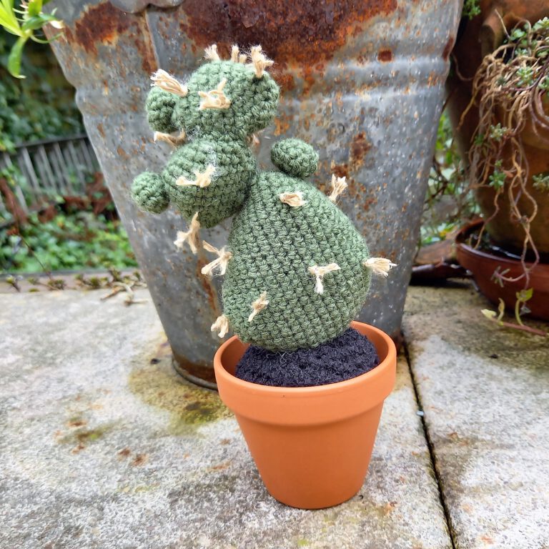 crochet cactus with thread spikes